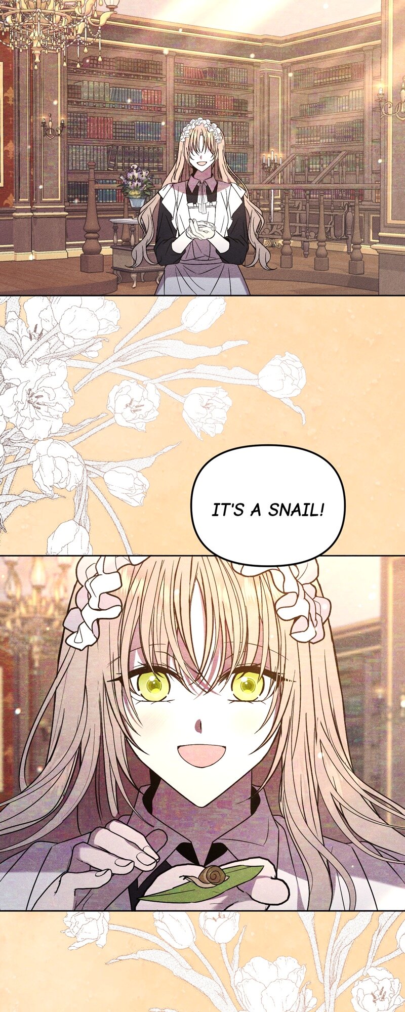 52882365 800 2000 442735